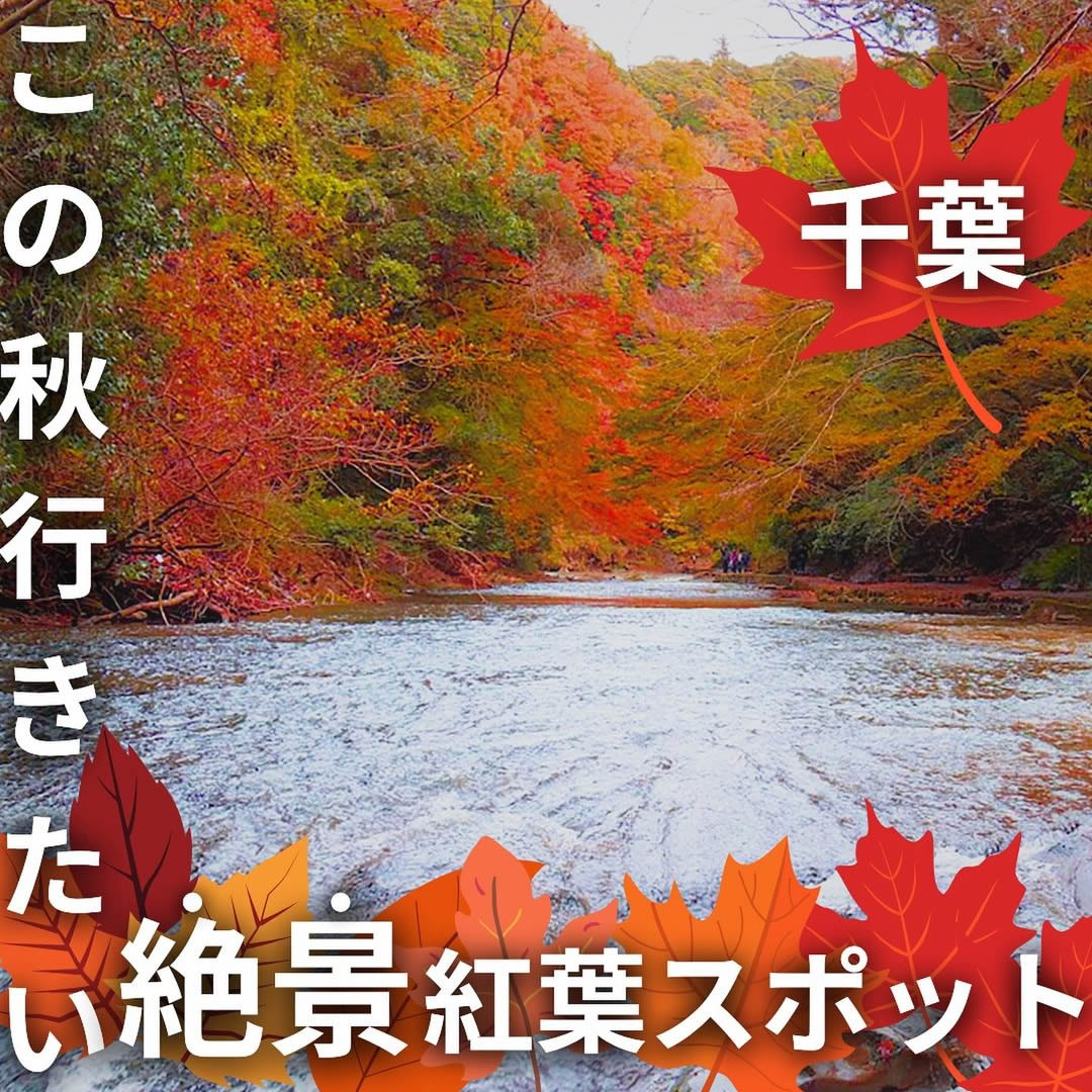 【千葉】この秋行きたい絶景紅葉スポット